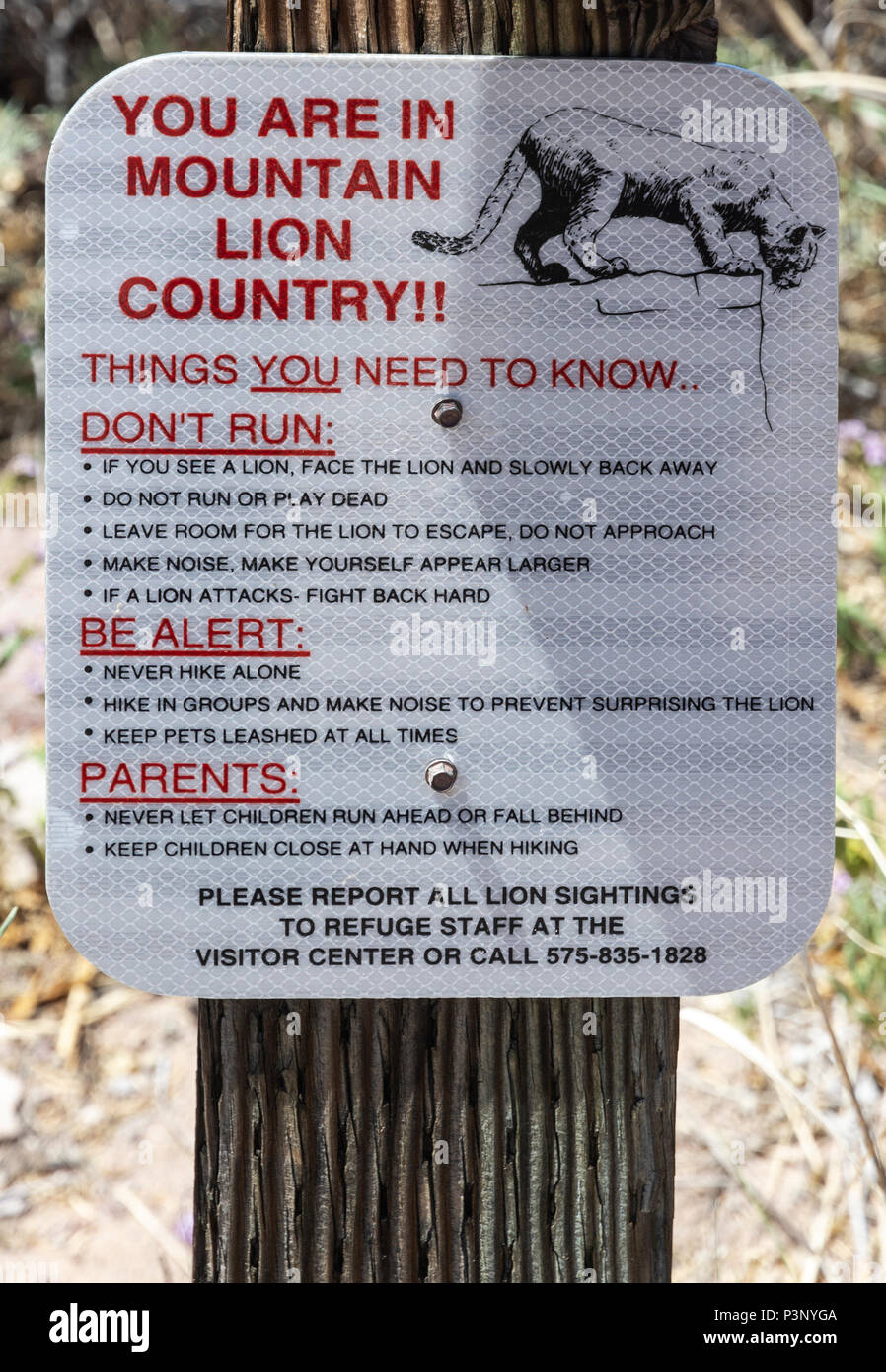 New Mexico, San Antonio, Bosque del Apache National Wildlife Refuge