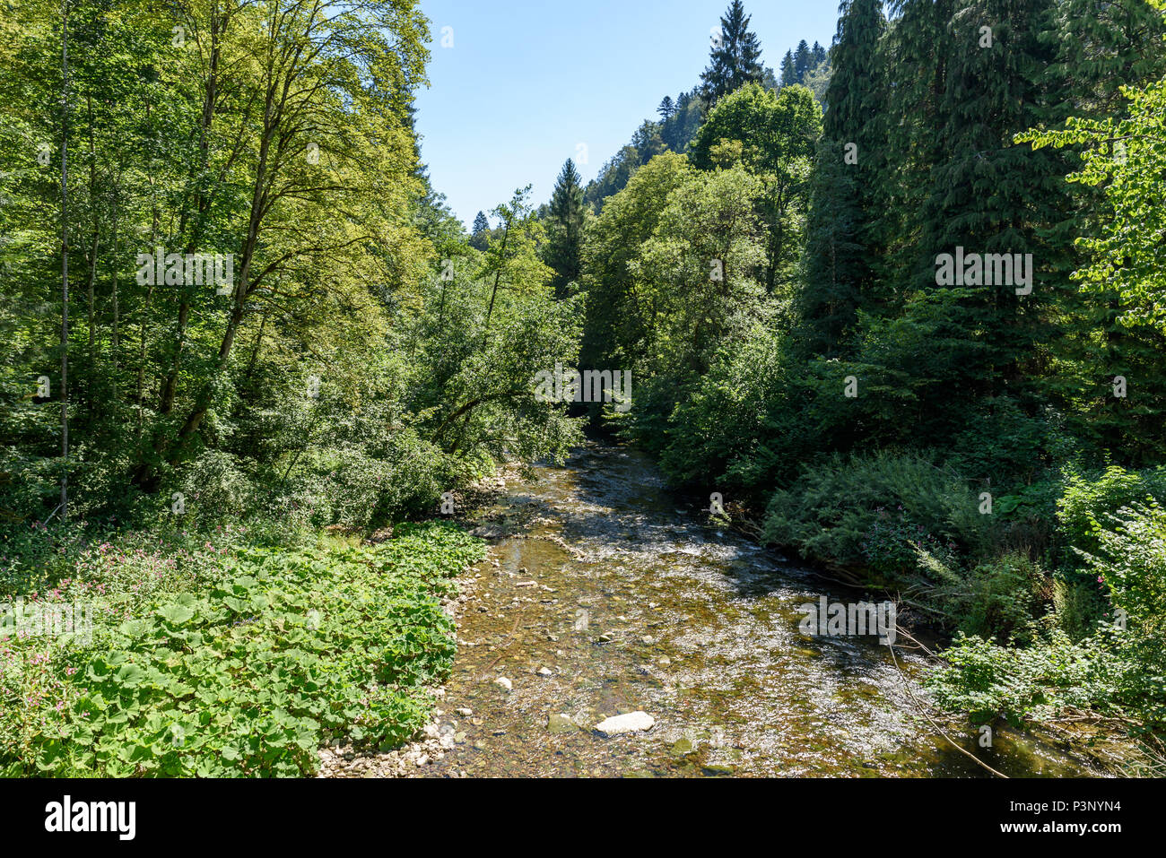 Black forest germany walking hi-res stock photography and images - Alamy