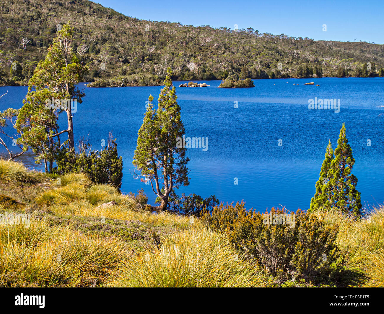Lake Windermere, Cradle Mountain, Tasmania, Australia Stock Photo Alamy