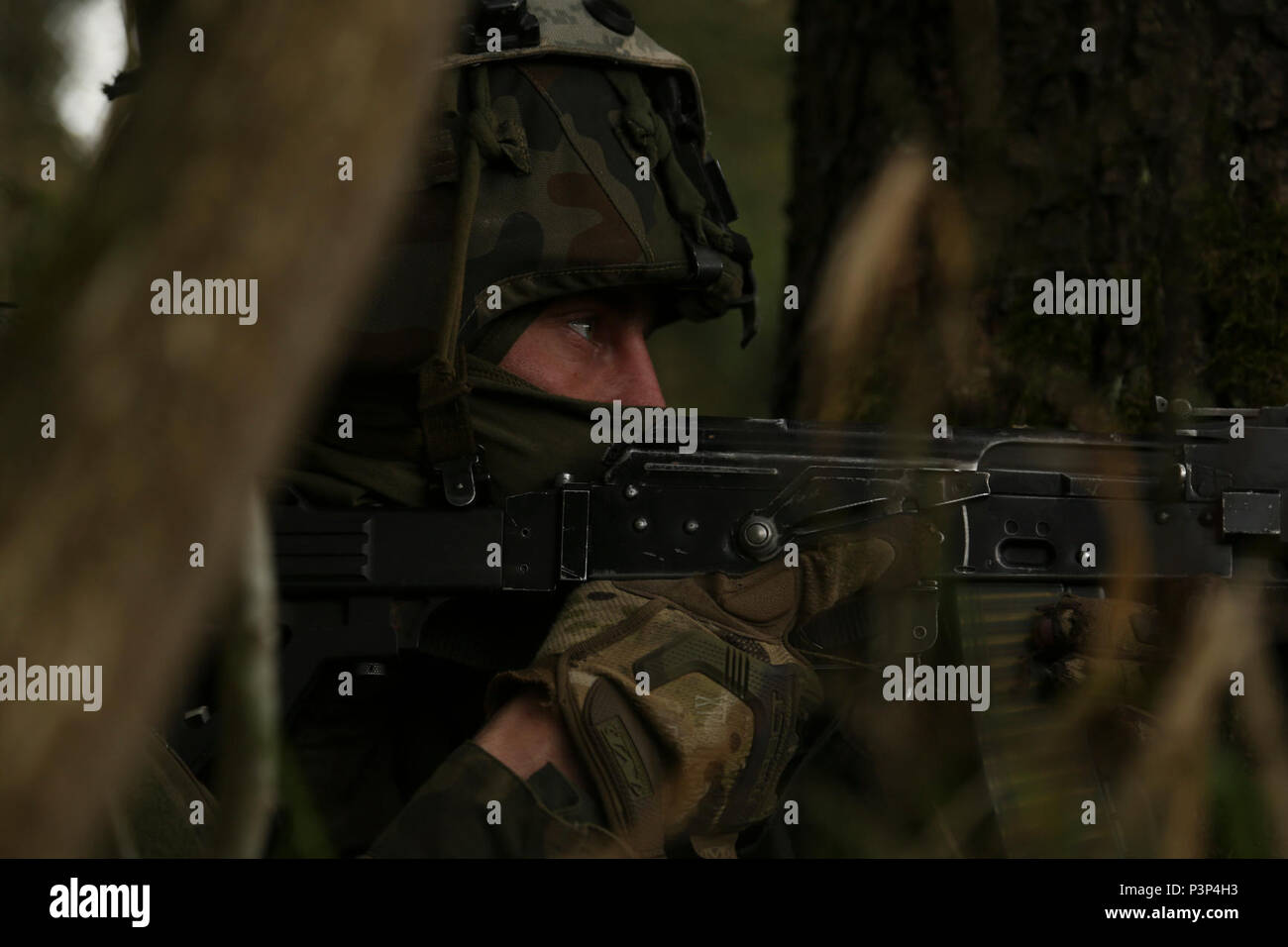 A Polish soldiers of the 1st Mounted Infantry Battalion, 17th Mechanized Brigade observes his sector of fire while conducting a simulated assault during Saber Junction 17 at the Hohenfels Training Area, Germany, May 8, 2017. Saber Junction 17 is the U.S. Army Europe’s 2d Cavalry Regiment’s combat training center certification exercise, taking place at the Joint Multinational Readiness Center in Hohenfels, Germany, Apr. 25-May 19, 2017. The exercise is designed to assess the readiness of the regiment to conduct unified land operations, with a particular emphasis on rehearsing the transition fro Stock Photo