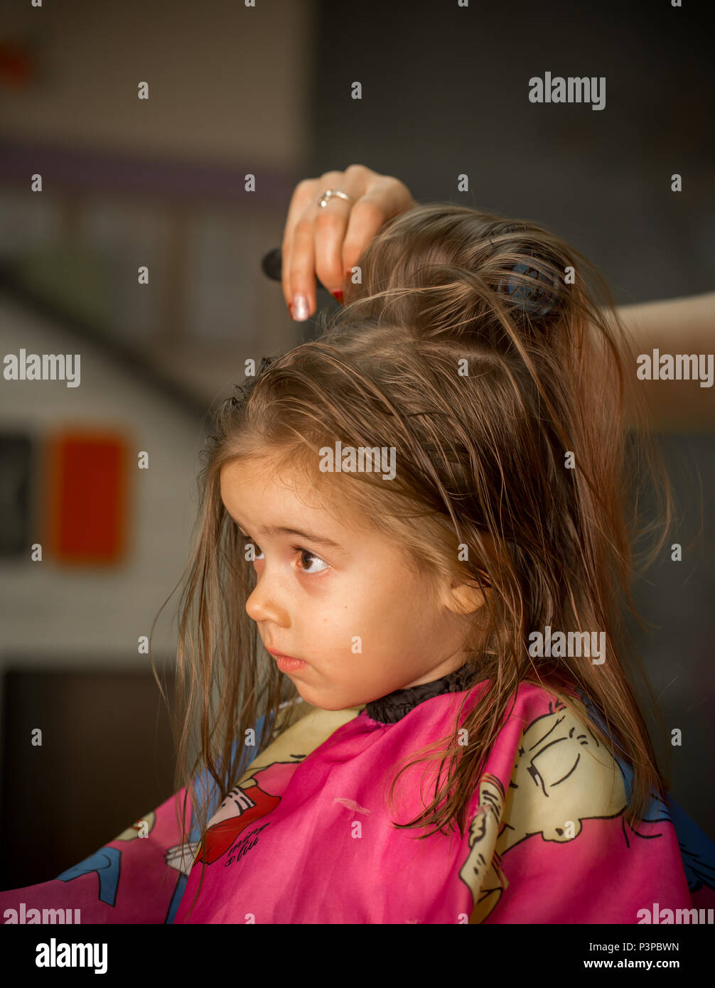 Beautiful Little Girl With Long Hair Cuts Hair In The