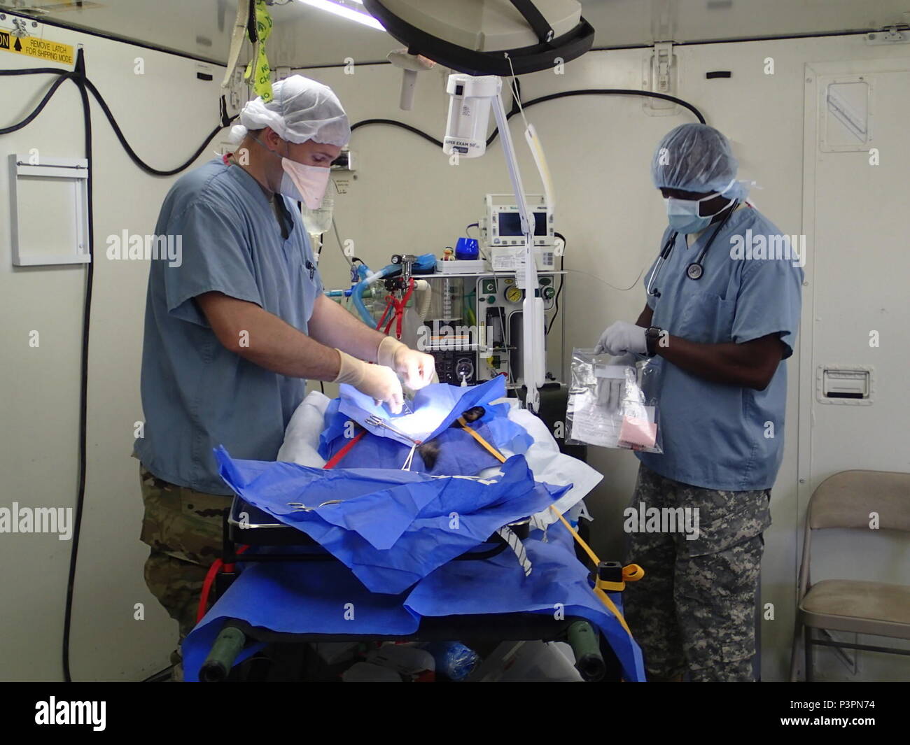 Capt. Matthew Watson, a veterinarian, and Spc. Omokorede Fatile, a food inspector, both from the 422nd Medical Detachment Veterinary Services out of Rockville, Md.,  perform a neuter procedure on a cat during Greater Chenango Cares, July 20, 2016.  Greater Chenango Cares is one of the Innovative Readiness Training events which provides real-world training in a joint civil-military environment while delivering world class medical care to the people of Chenango County, N.Y., from July 15-24. Stock Photo