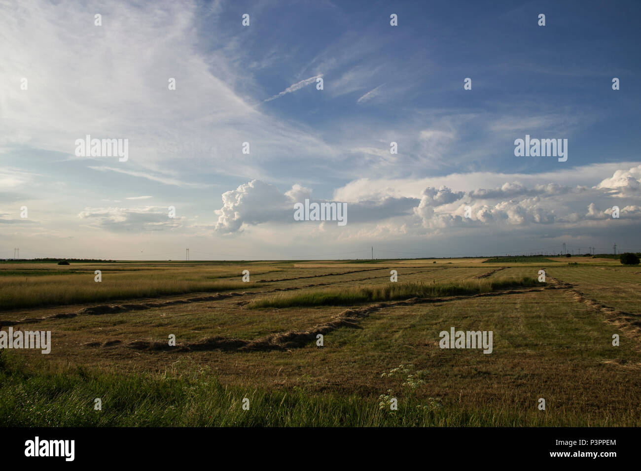 plain land landscape Stock Photo