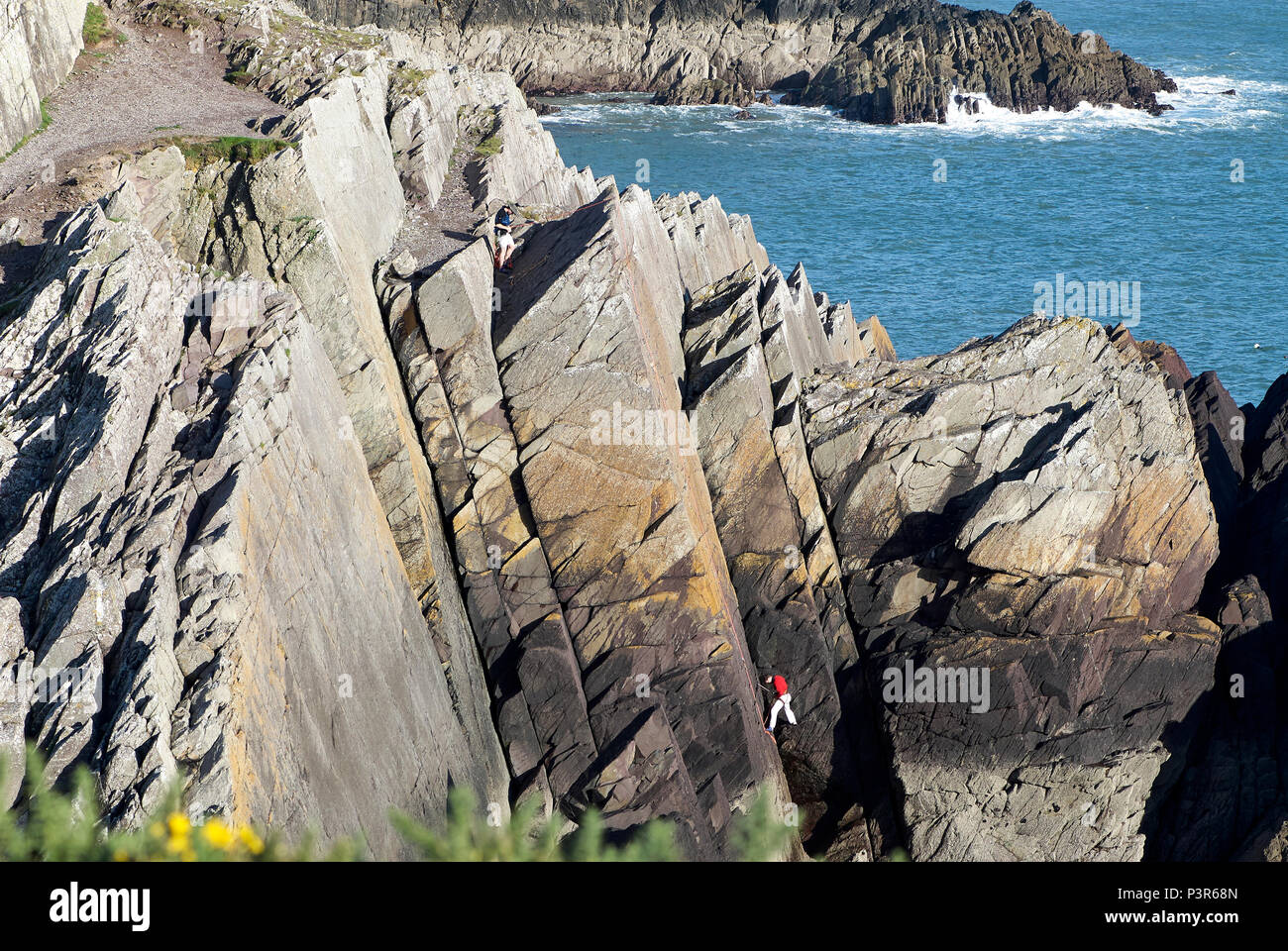 Rock Climbing Porth Clais Pembrokeshire Wales UK Stock Photo Alamy