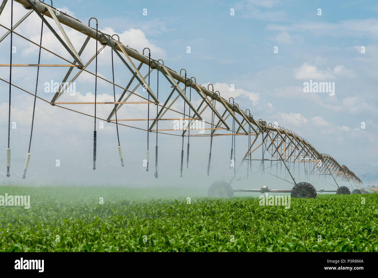 Lateral move irrigation system Stock Photo - Alamy