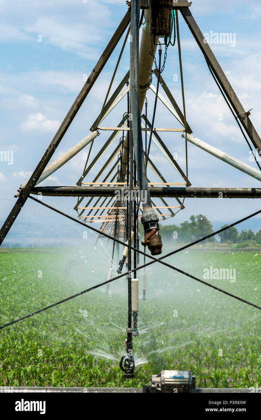 Lateral move irrigation system Stock Photo - Alamy