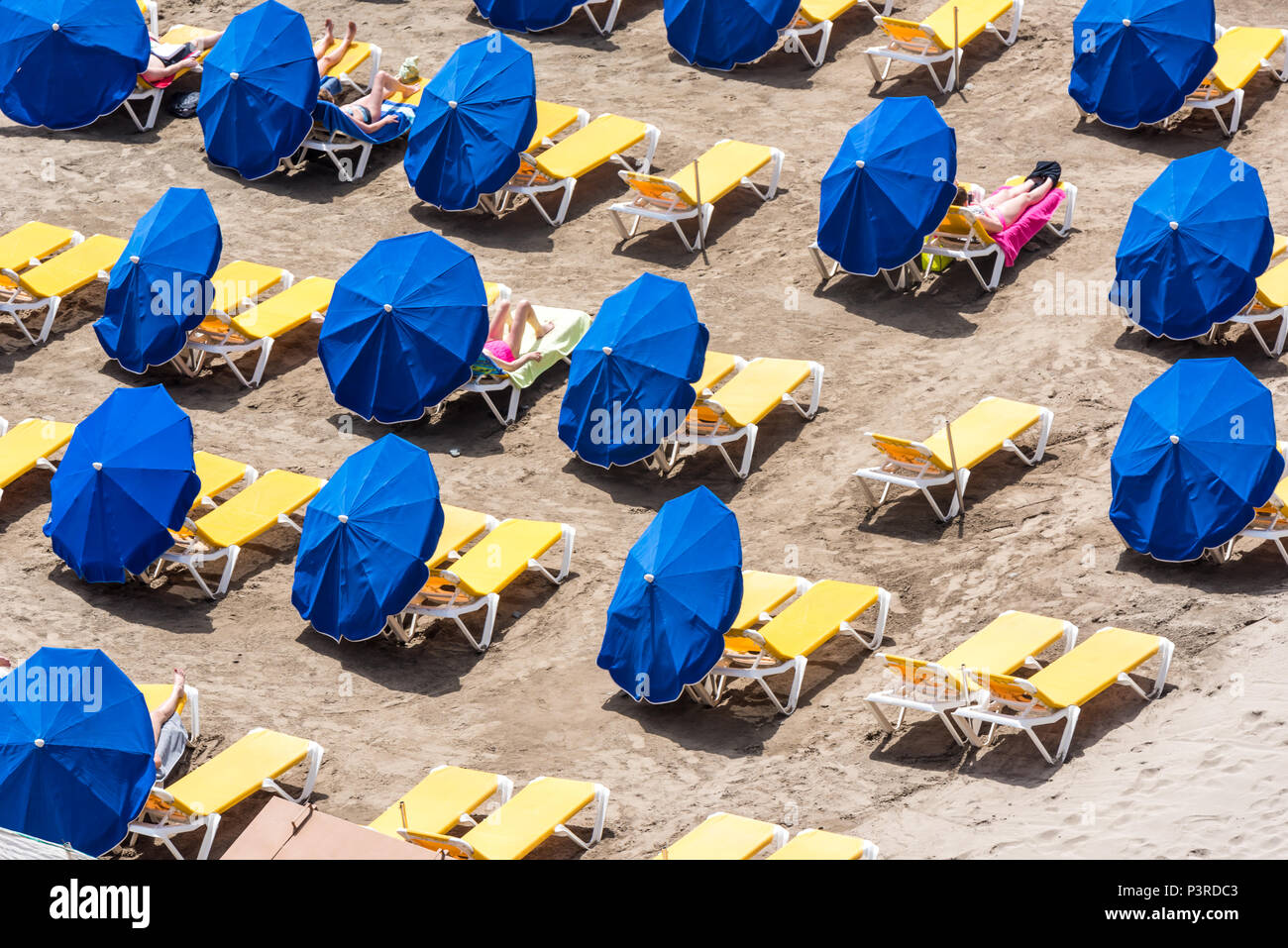 Parasol at sunny beach Stock Photo