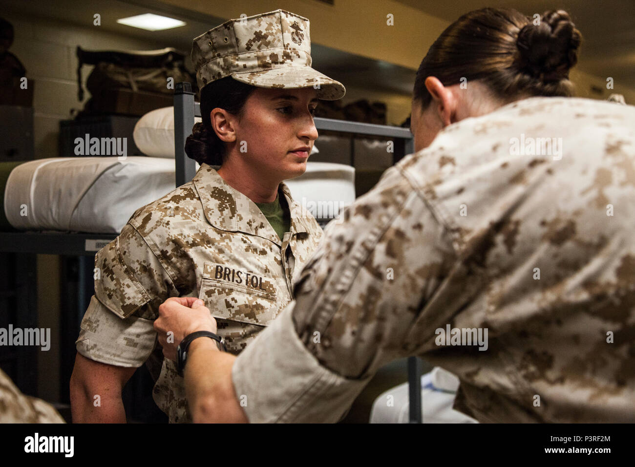 Platoon commanders inspection hi-res stock photography and images - Alamy