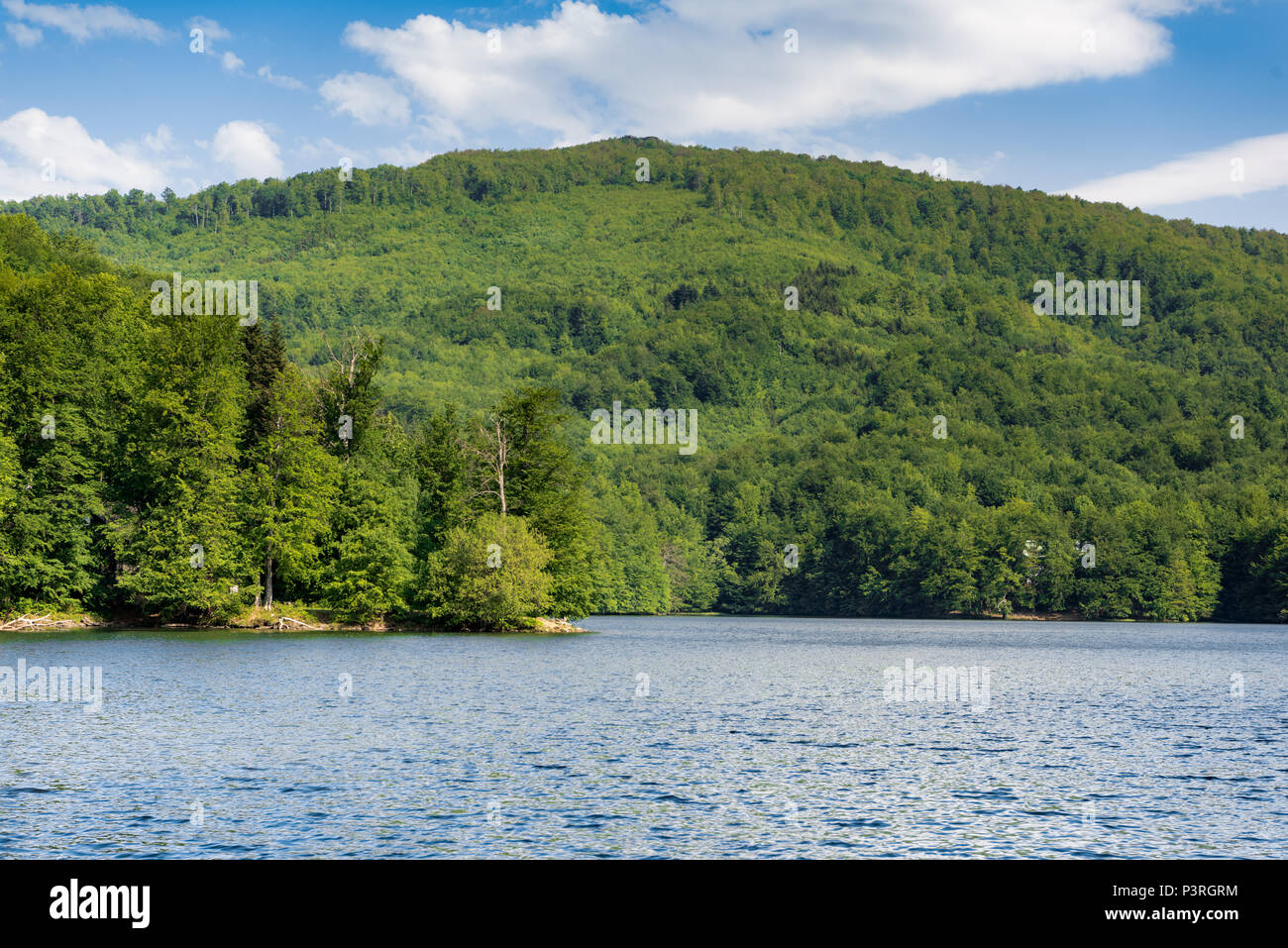 Snina hi-res stock photography and images - Alamy