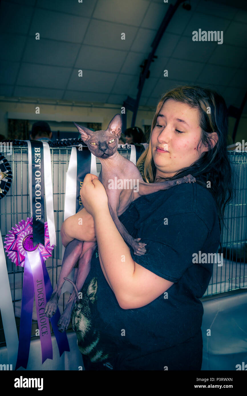 A cat show at a local village hall with owners and cats some in cages some being held or sitting on chairs. Stock Photo