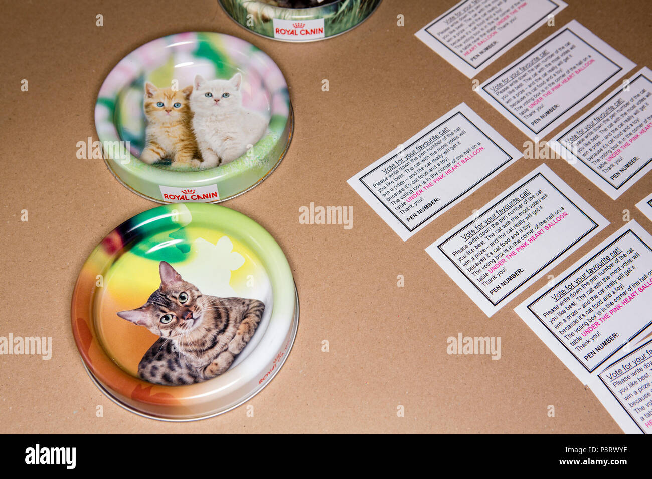 Lookign down on a table with tickets at the entrance to a cat show in a