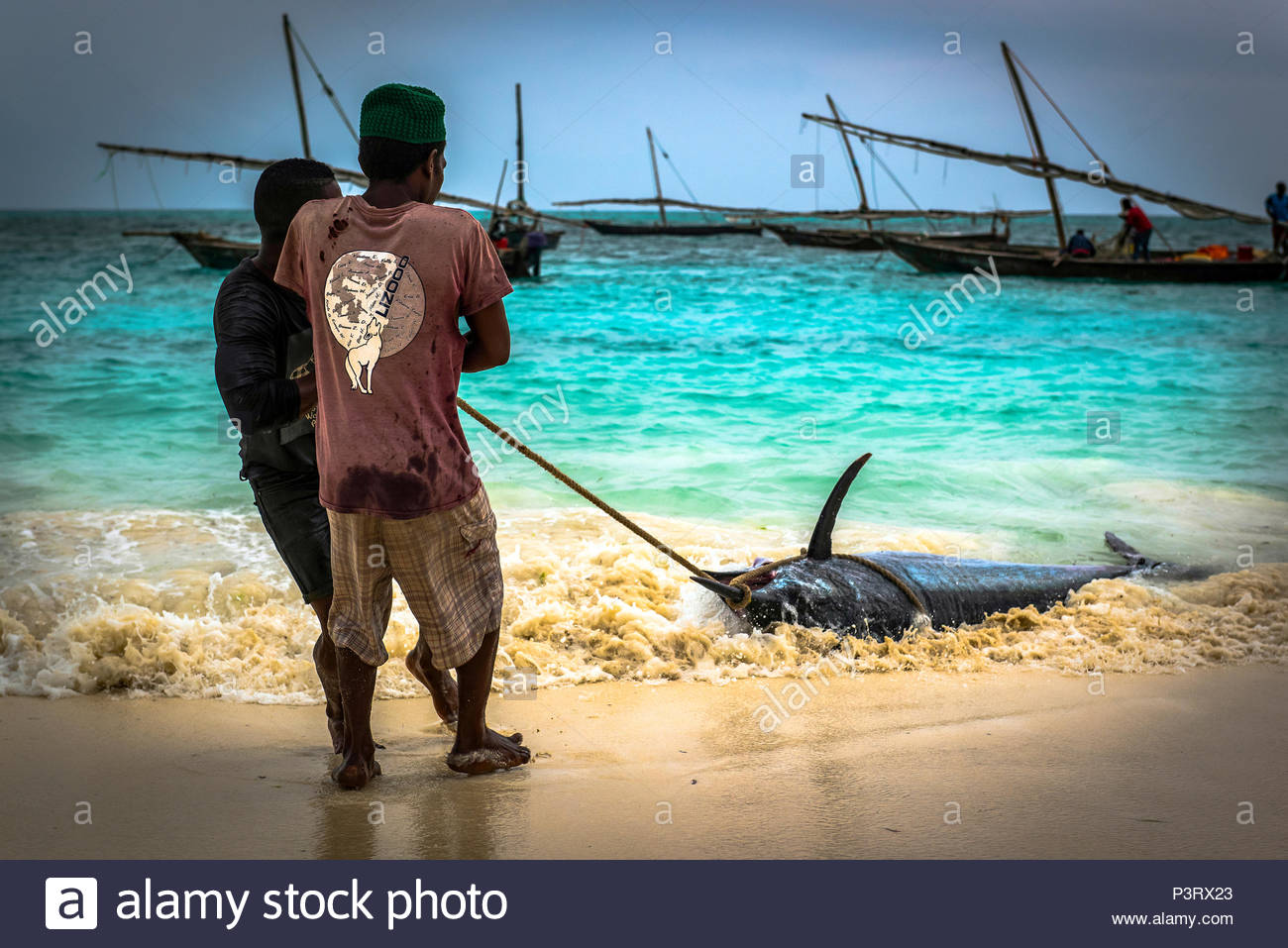Zanzibar Nungwi Fish Stock Photos & Zanzibar Nungwi Fish Stock Images ...