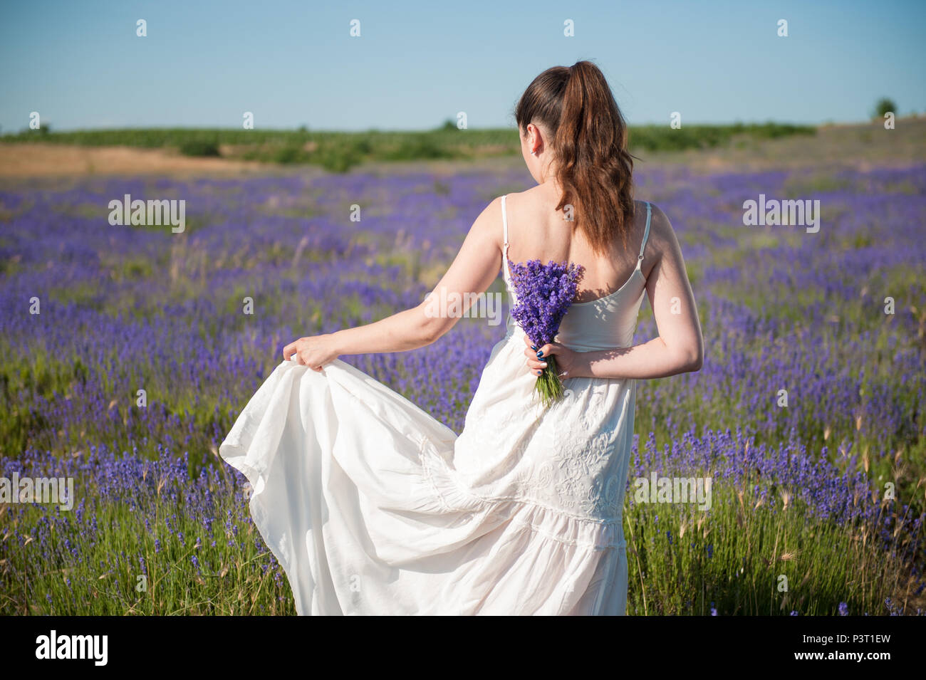 beautiful young female in white dress with flower bouquet in lavender meadows Stock Photo