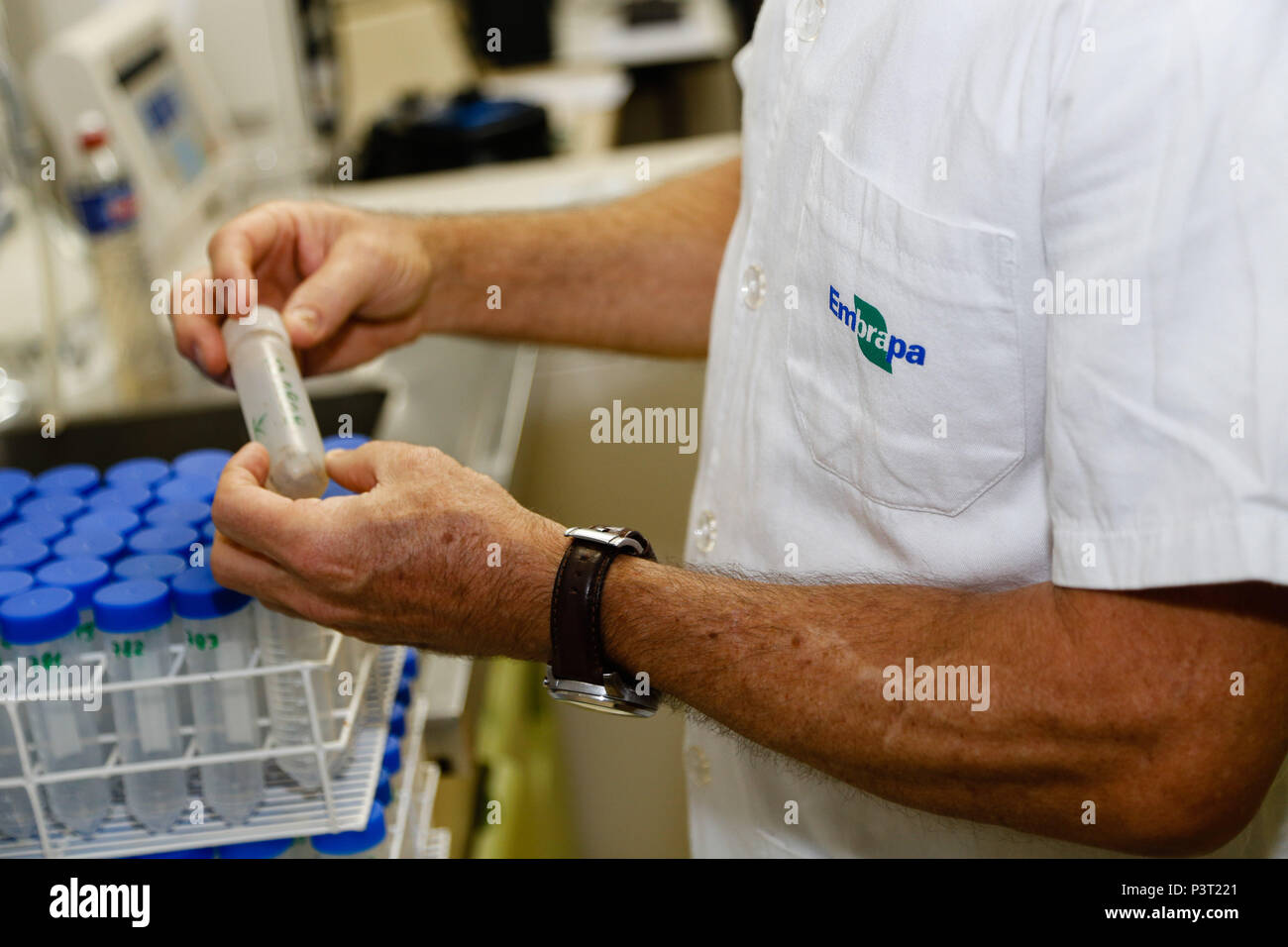 Embrapa Rj RIO DE JANEIRO, RJ - 27.10.2015: LABORATÓRIOS EMBRAPA - Pesquisador da ...