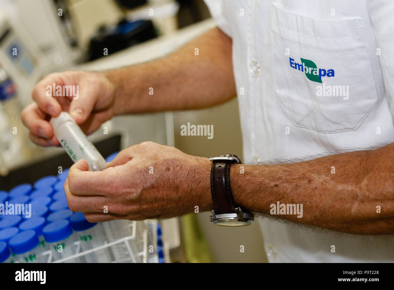 Embrapa Rj RIO DE JANEIRO, RJ - 27.10.2015: LABORATÓRIOS EMBRAPA - Pesquisador da ...
