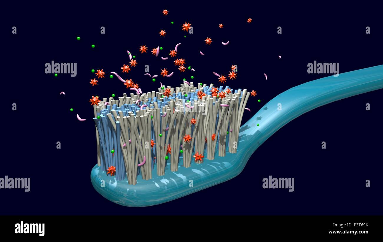 Bacteria on, around toothbrush. Closeup view 3d render Stock Photo Alamy