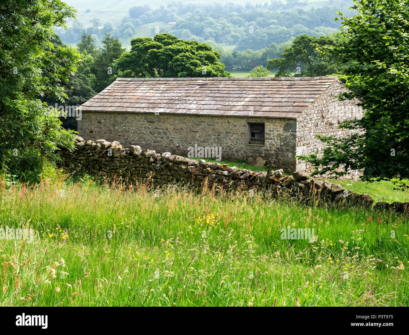 Field Barn near West Burton in Wensleydale Yorkshire Dales England Stock Photo