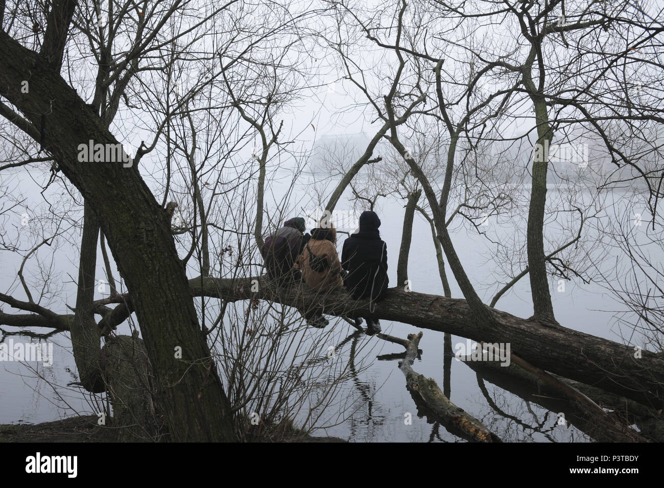 Berlin, Germany, Three young people sitting on a branch on the Rummelsburger bay in Berlin-Friedrichshain Stock Photo
