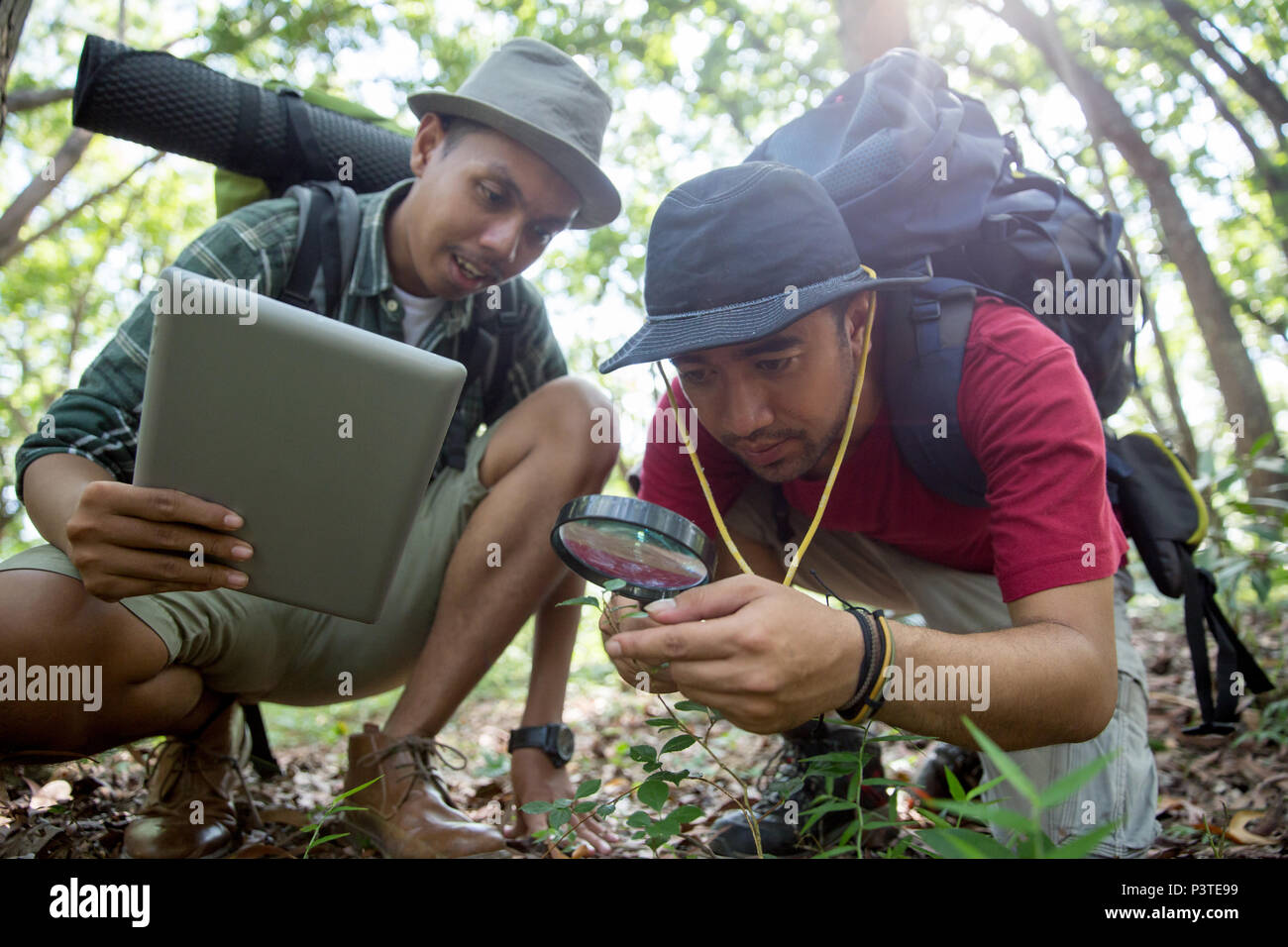 man using magnifying glass  in the forest Stock Photo