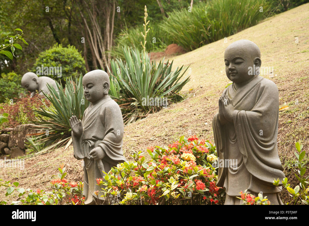COTIA, SP - 21.02.2016: TEMPLO ZU LAI - Estátuas de BUda crinça no jardim de entrada do templo budista Zu Lai. (Foto: Daniela Maria / Fotoarena) Stock Photo