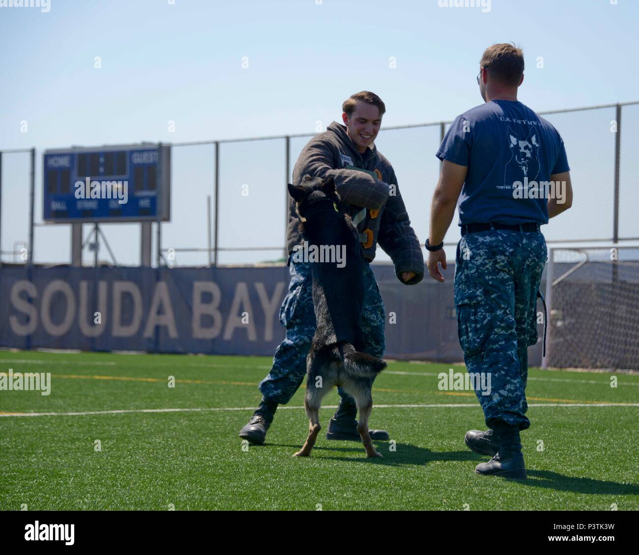 Contact sport violence picture