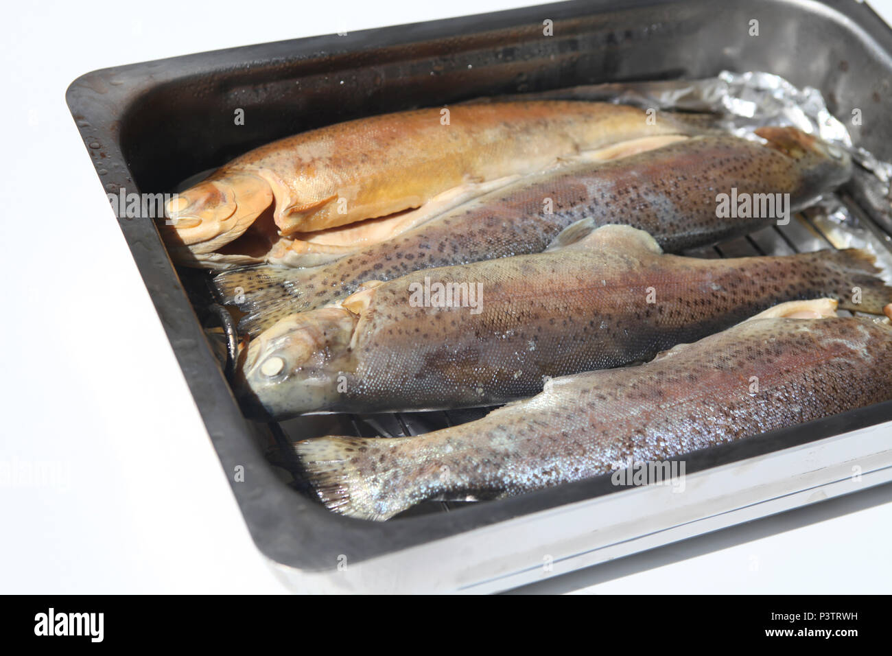 Four trouts in smoker oven Stock Photo