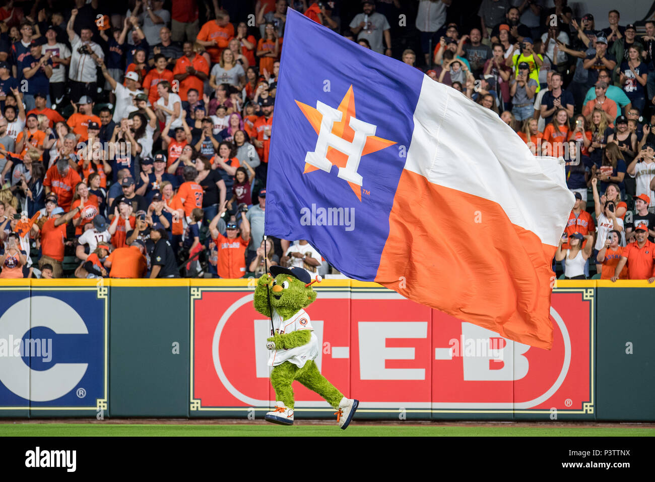 Houston Astros Mascot – Sports Images & More LLC