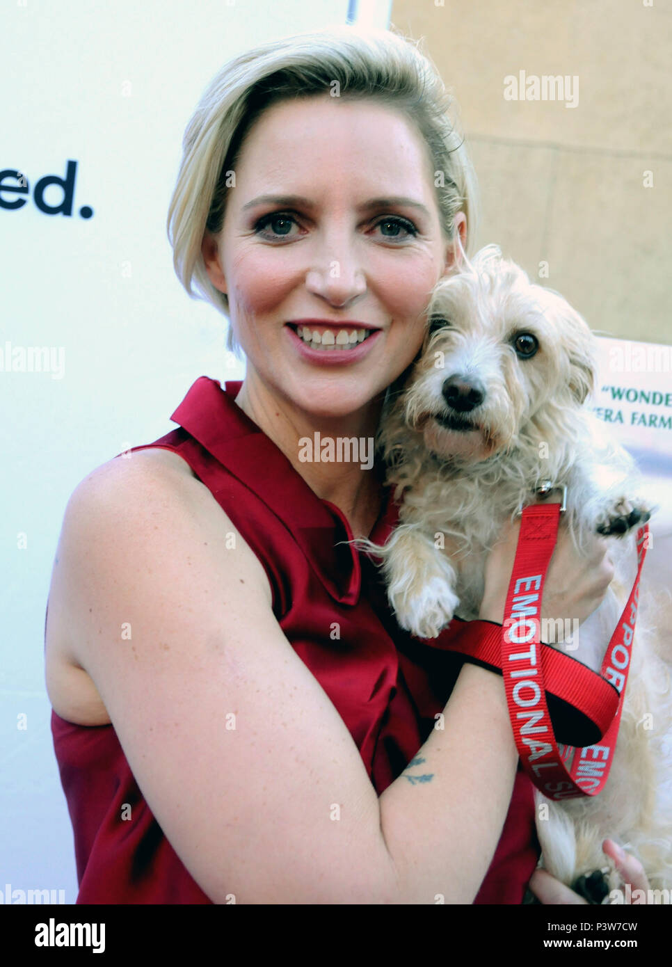 Los Angeles, USA. 19th Jun, 2018. Director/writer Shana Feste attends