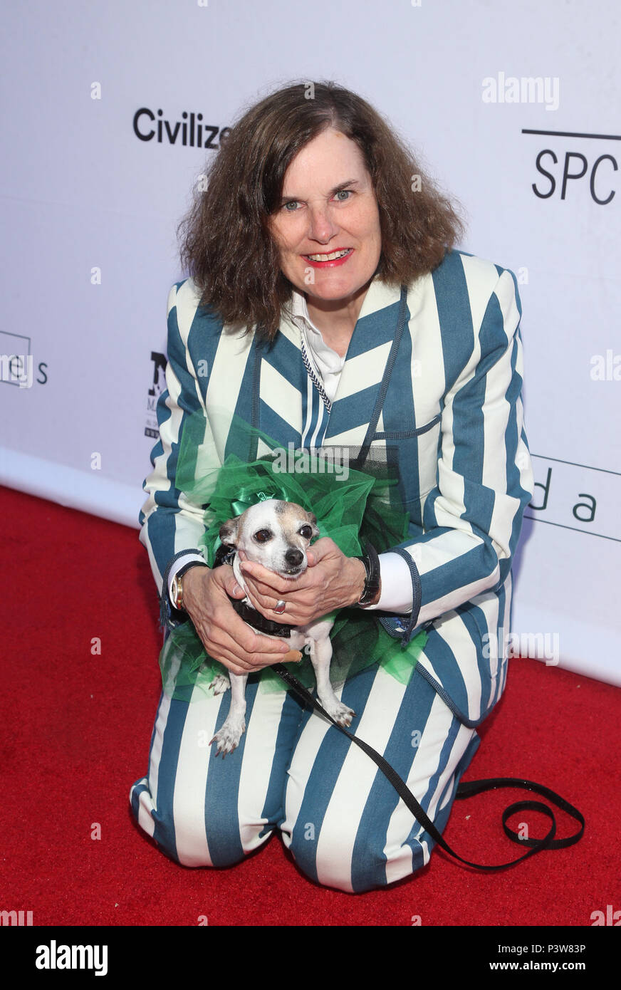 Hollywood, USA. 19th June, 2018. Paula Poundstone, at the Los Angeles Premiere of Boundaries at the Egyptian Theatre in Hollywood, California on June 19, 2018. Credit: Faye Sadou/Media Punch/Alamy Live News Stock Photo