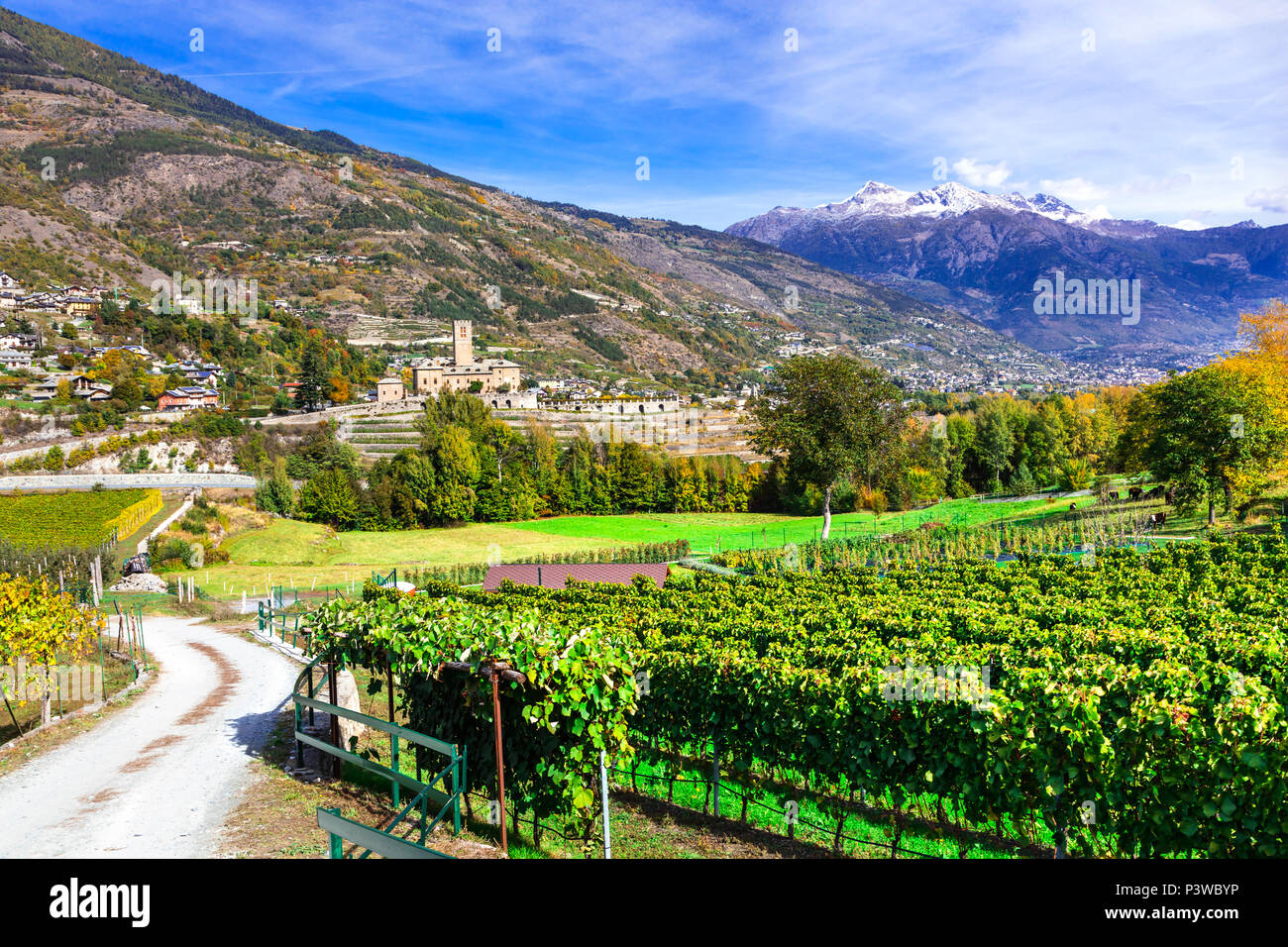 Sarre sarre hires stock photography and images Alamy