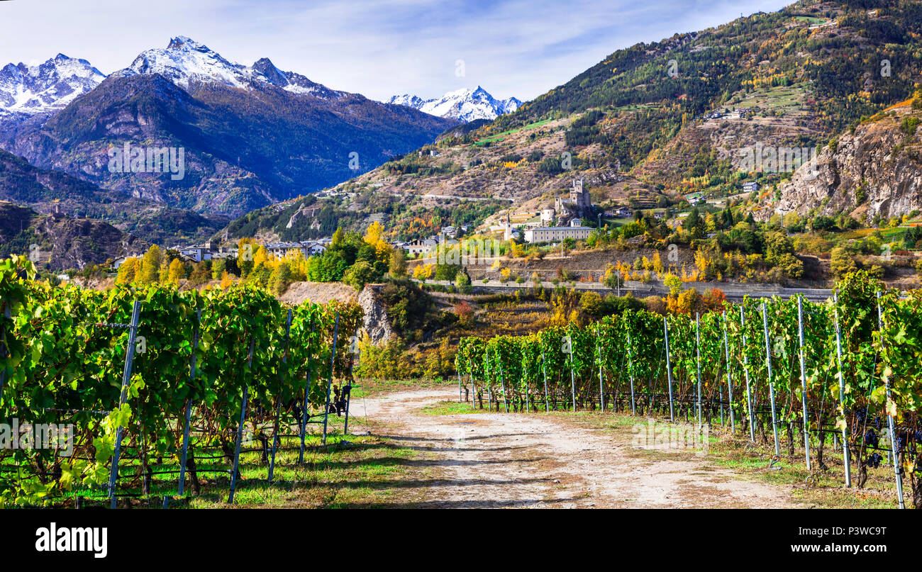 Impressive autumn landscape,view with vineyards and Saint Pierre medieval castle,Valle d’Aosta,Italy. Stock Photo