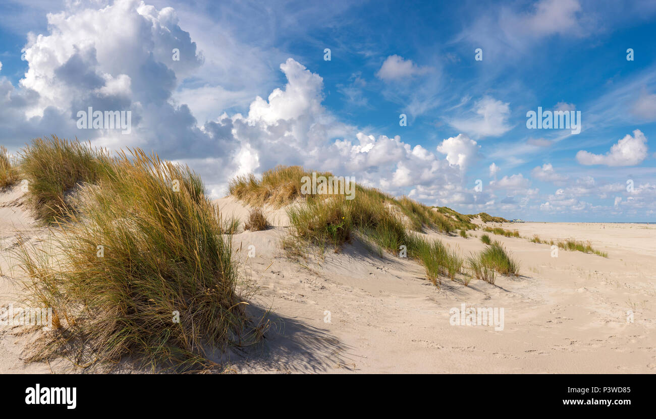 Beach And Dunes Stock Photo - Alamy