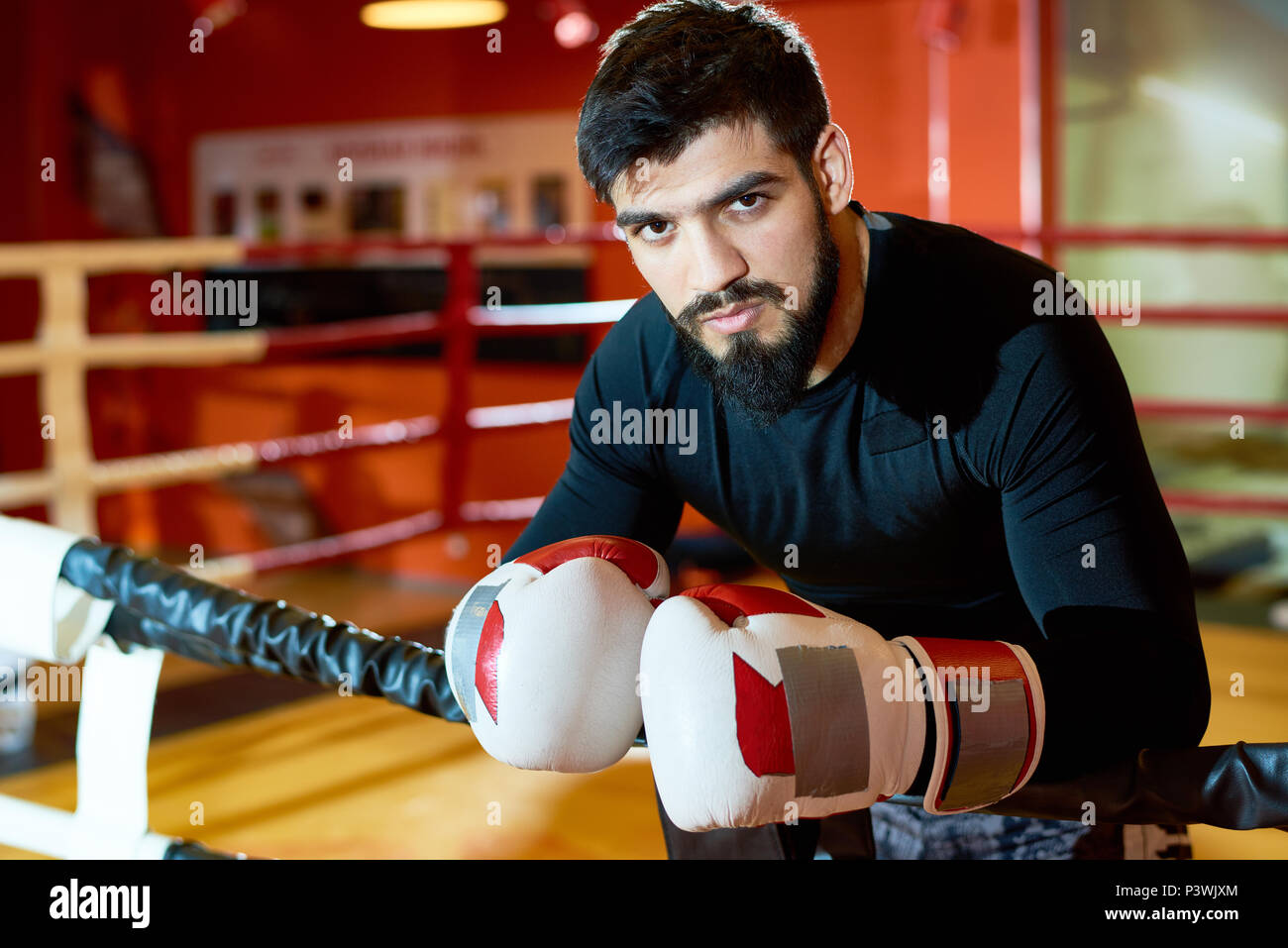 Handsome brutal boxer on ring Stock Photo