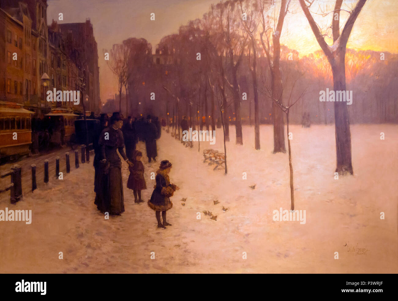 Childe common twilight hires stock photography and images Alamy