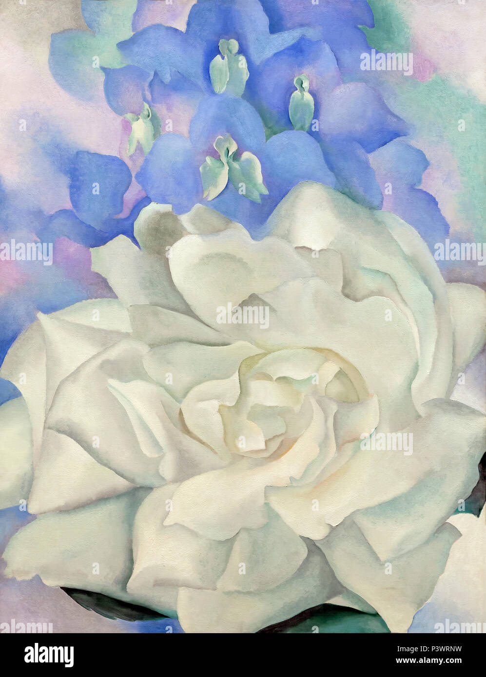 White Rose with Larkspur No.2, Georgia O'Keeffe, 1927, Museum of Fine Arts, Boston, Mass, USA, North America Stock Photo