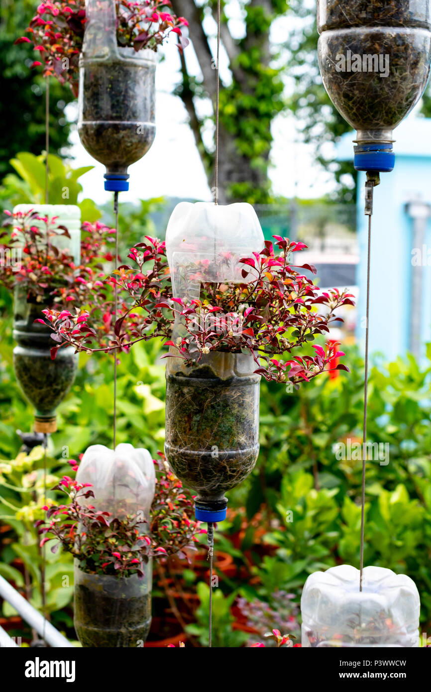 Recycle plant pots hi-res stock photography and images - Alamy