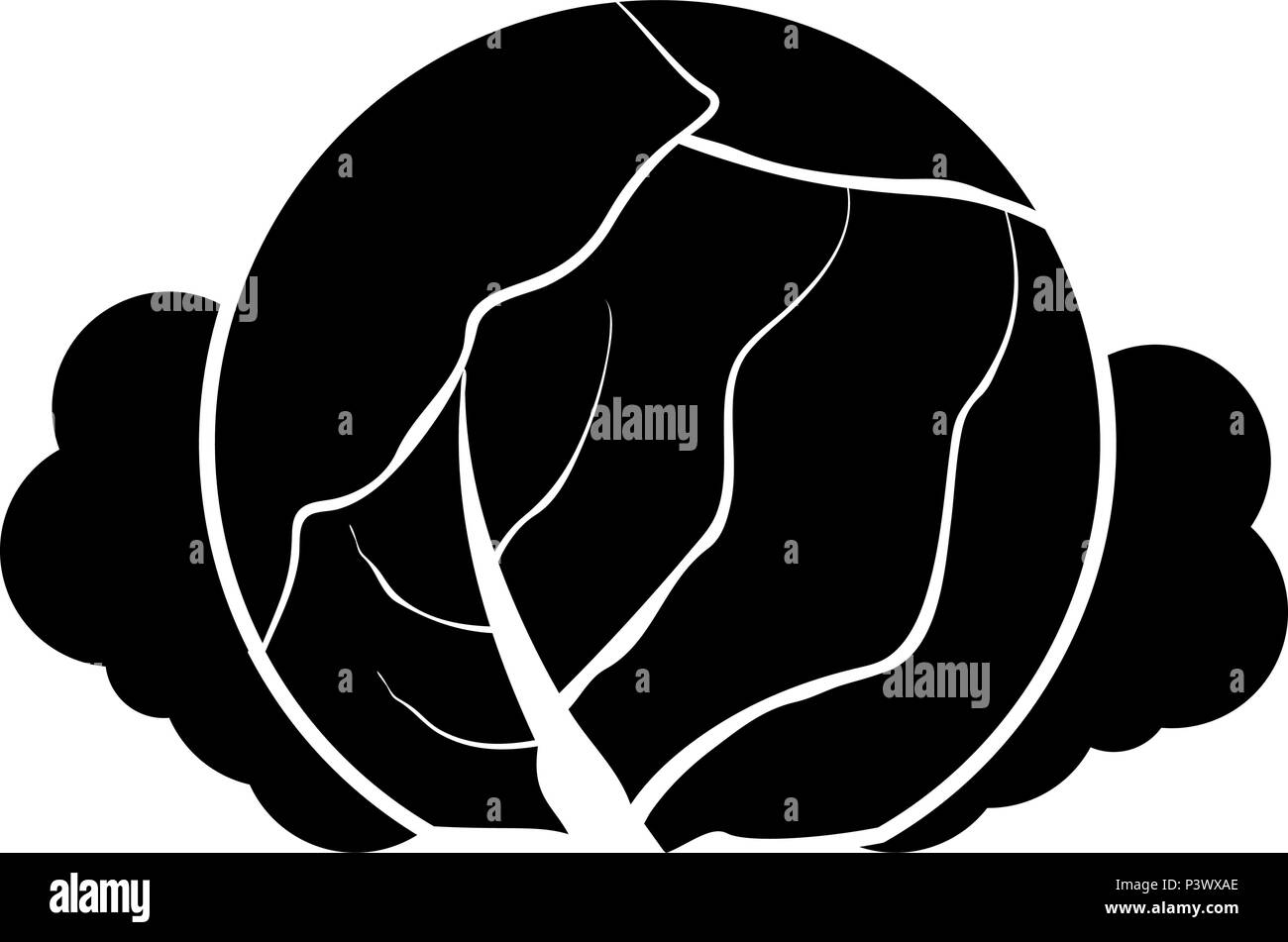 Cabbage icon black color vector I flat style simple image Stock Vector