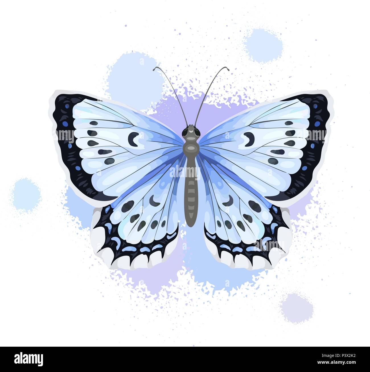 Realistic butterfly isolated on white background. Art vector ...