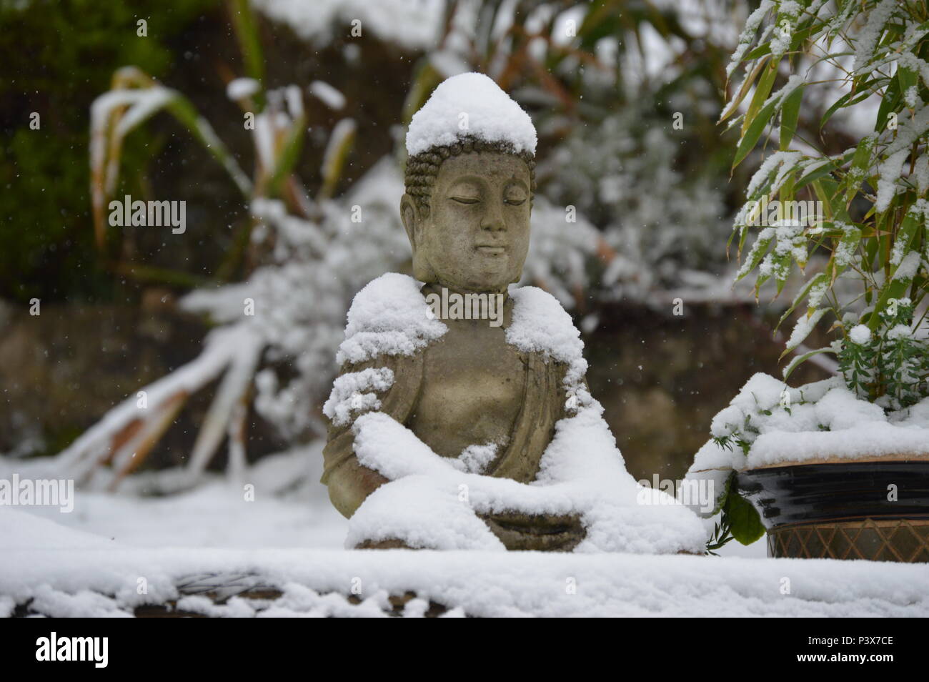 Buddha Snow High Resolution Stock Photography And Images Alamy Check out snow buddha by curl & dean on beatport. https www alamy com buddha in the snow north wales image208944974 html