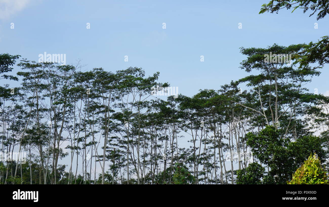 Langit Stock Photos Langit Stock Images Alamy