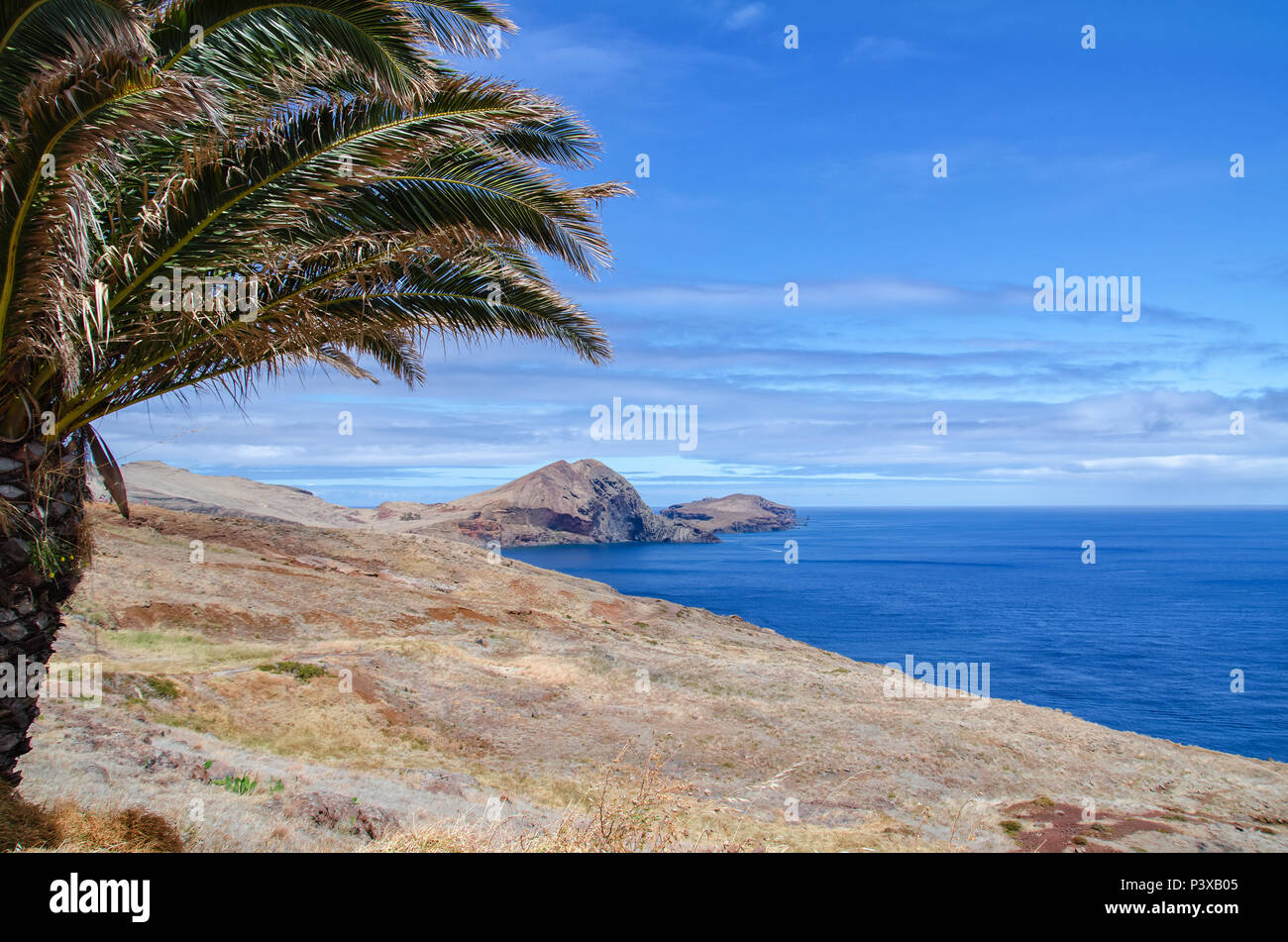 Blue ocean water framed palm hi-res stock photography and images - Alamy