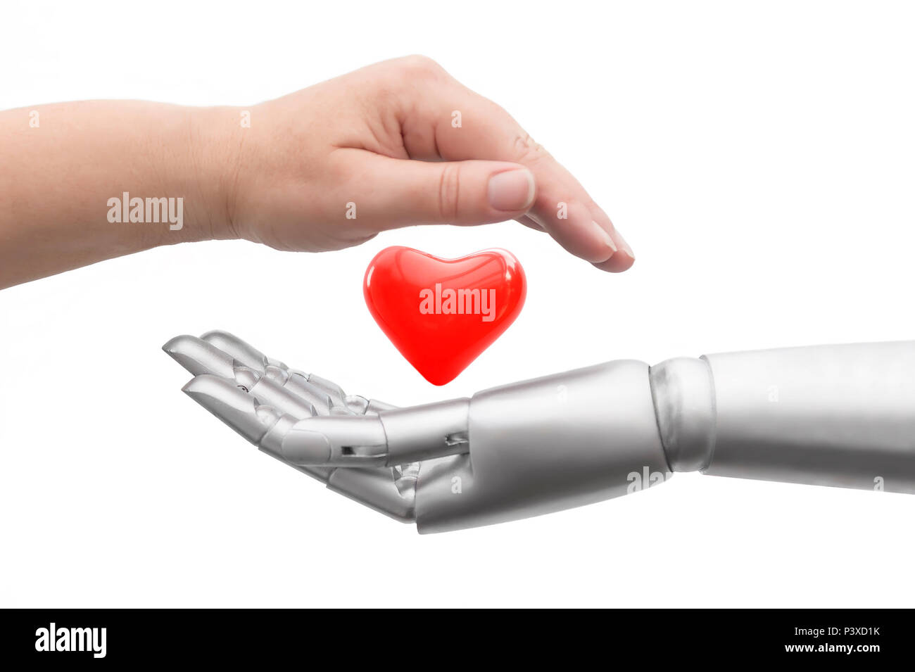 Conceptual photo of how life is protected. A robot hand and a human hand protectively surround a heart. Isolated in front of white background. Stock Photo