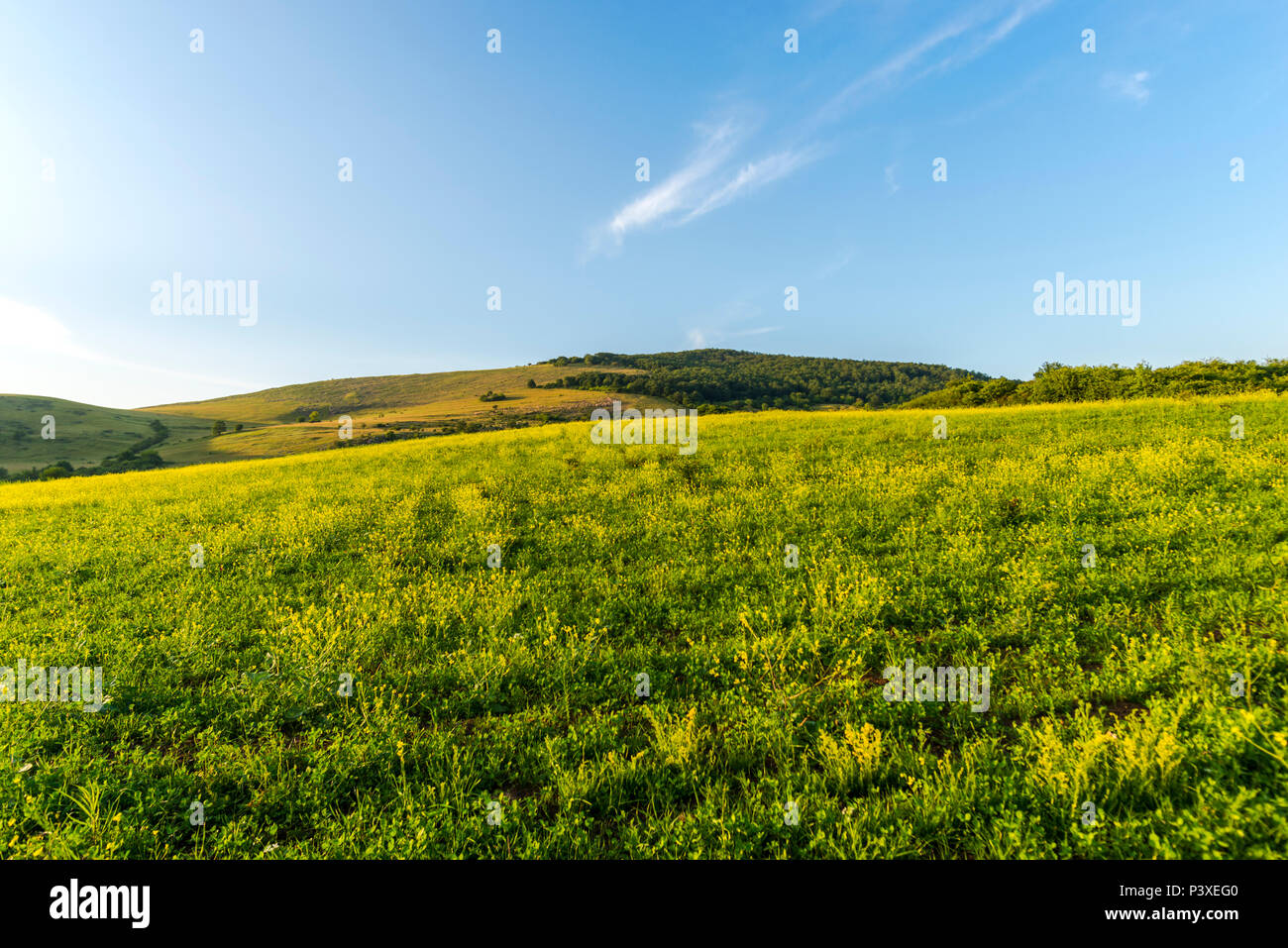 Spring landscape on the hill Stock Photo - Alamy