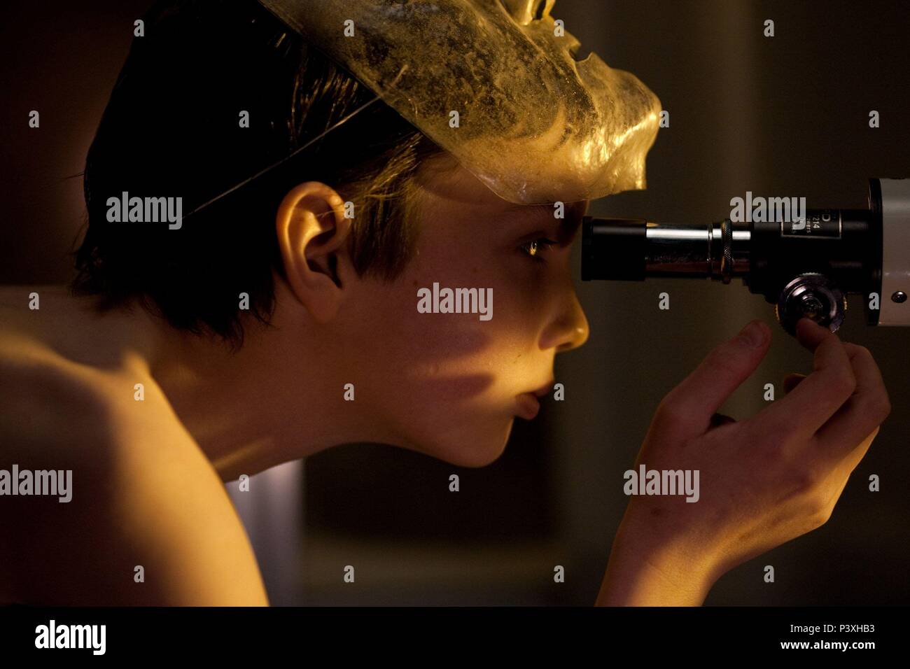 Original Film Title: LET ME IN. English Title: LET ME IN. Film Director ...