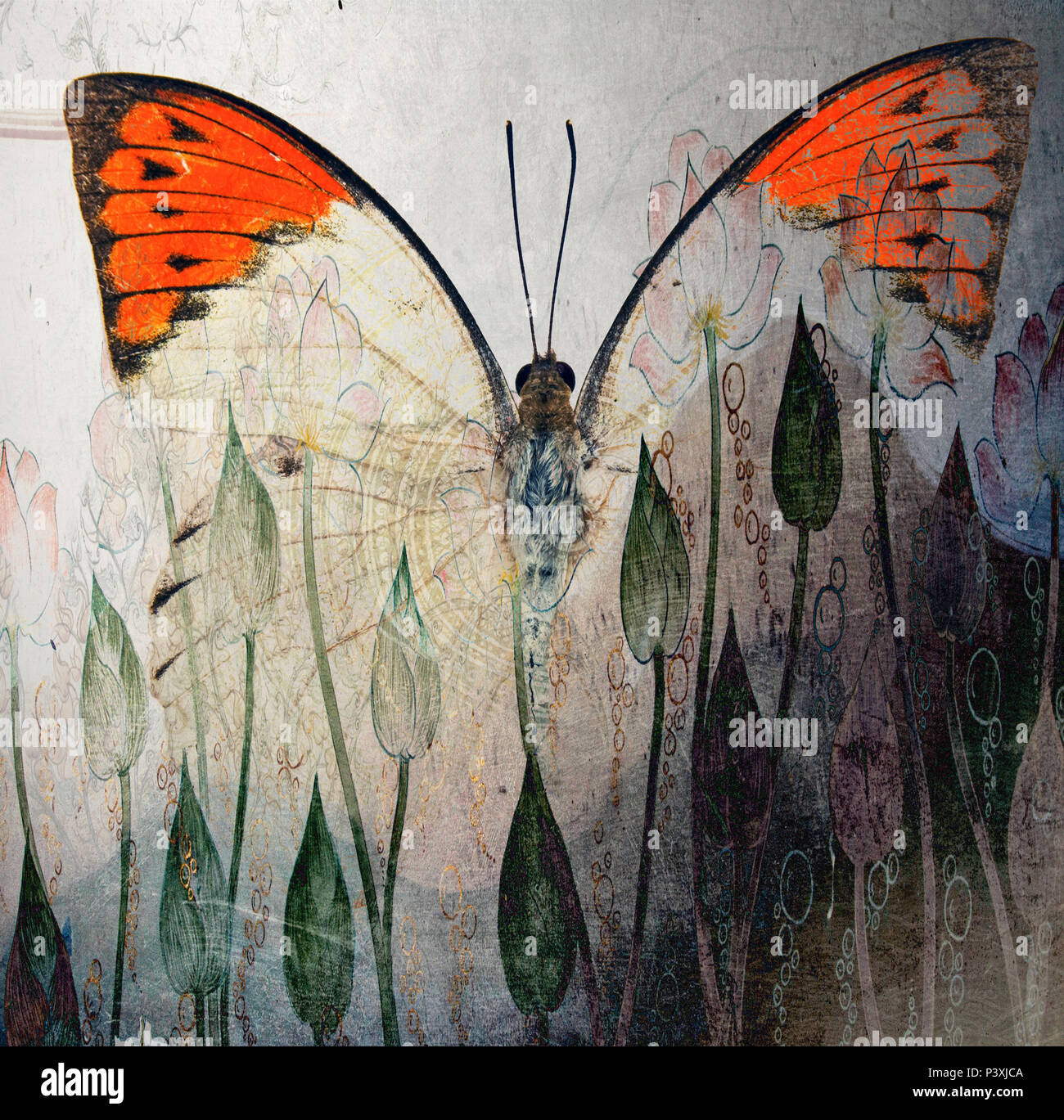 a grunge butterfly design wallpaper texture Stock Photo - Alamy