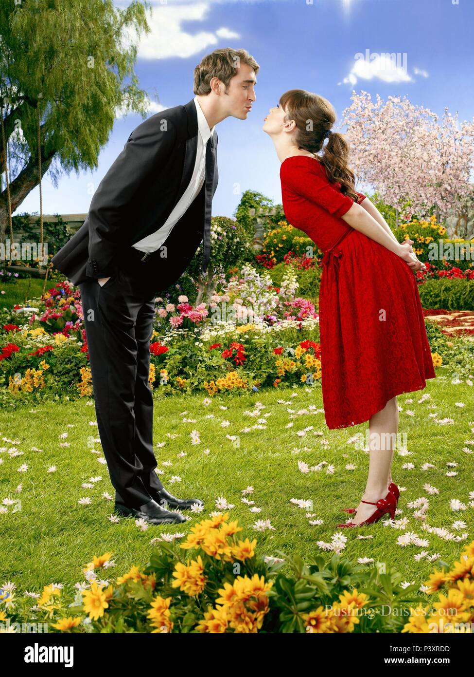 Original Film Title PUSHING DAISIES. English Title PUSHING DAISIES