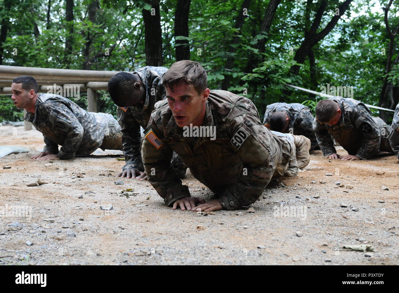 Soldiers attending the Air Assault course do strength and cardio ...