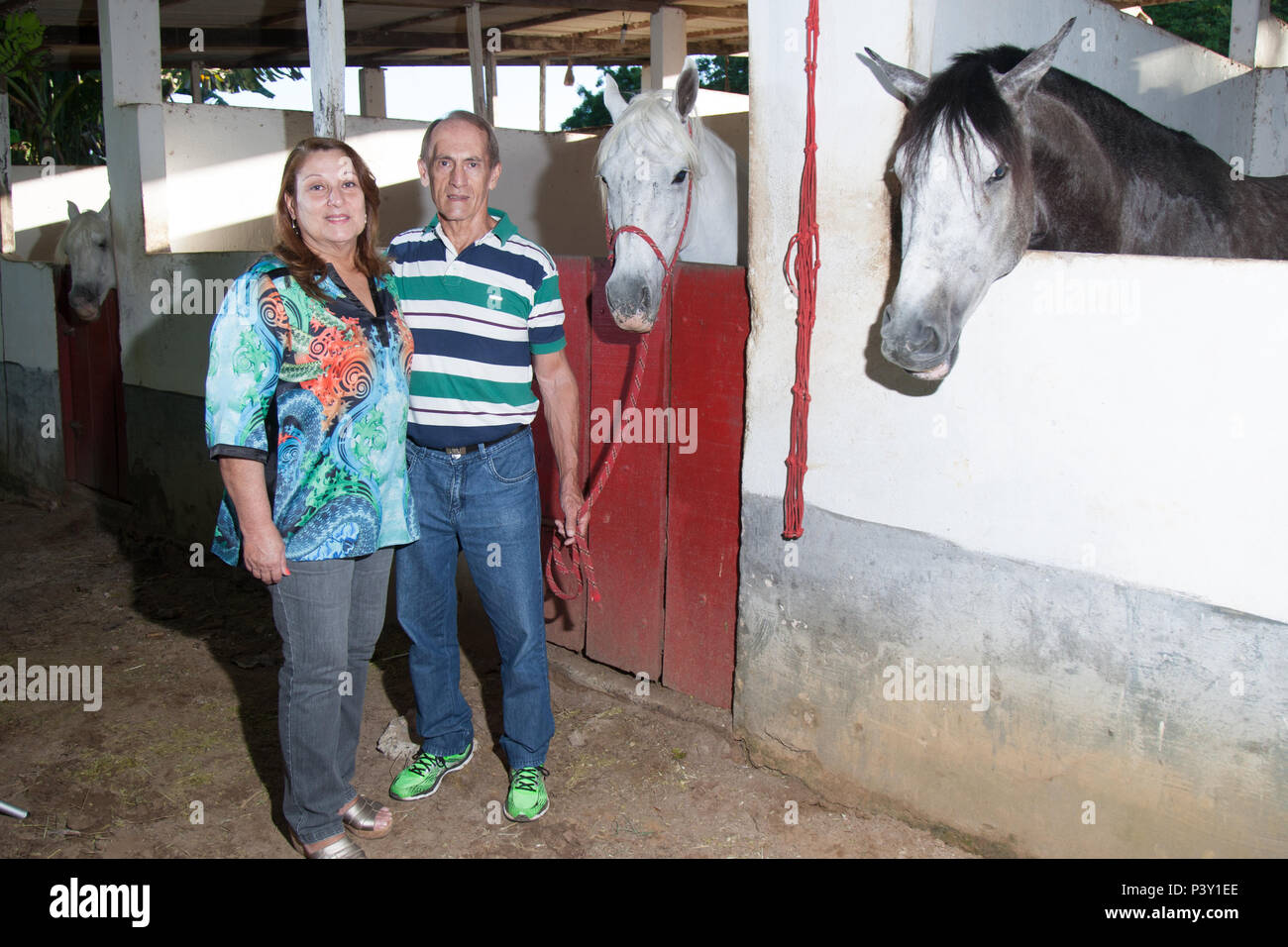 O criador de cavalos Vitélio Biazin, 68 anos, e sua esposa, Rosamaria Maltes de Freitas Biazin, 61, posam em sua propriedade rural de 7 hectares na Bahia. Vitélio nasceu no município de Severino de Almeida (RS), e migrou para Lauro de Freitas (BA), em 1983. Stock Photo