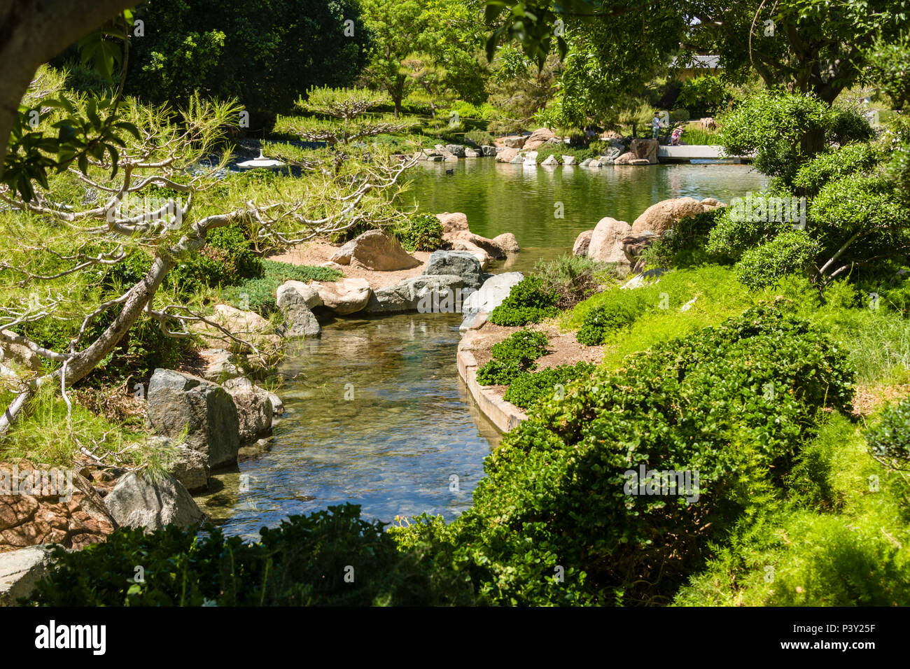 Japanese Friendship Garden Creek Stock Photo Alamy