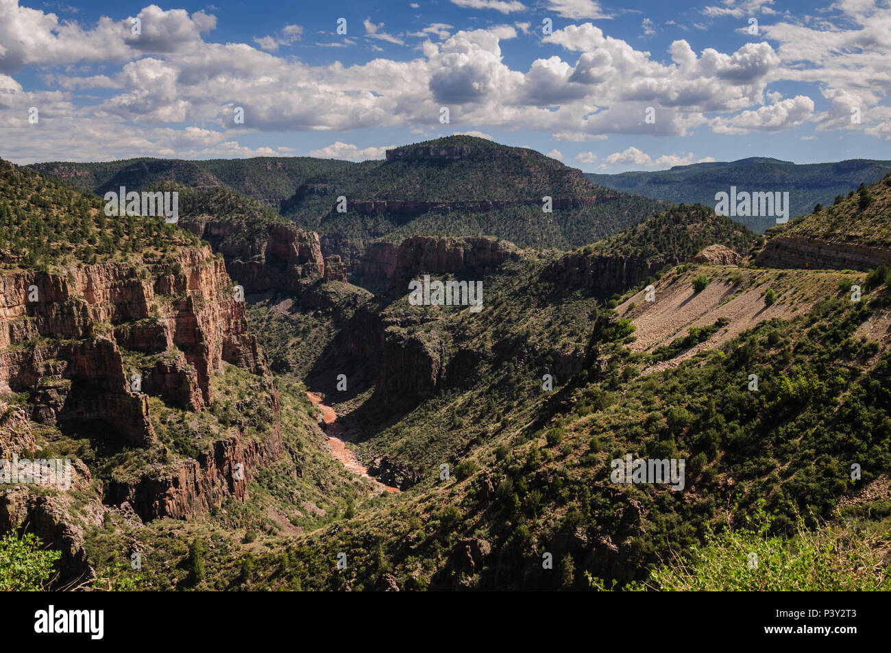 Overlook of the Becker Butte and the Salt River in the Fort Apache Reservation, Arizona Stock